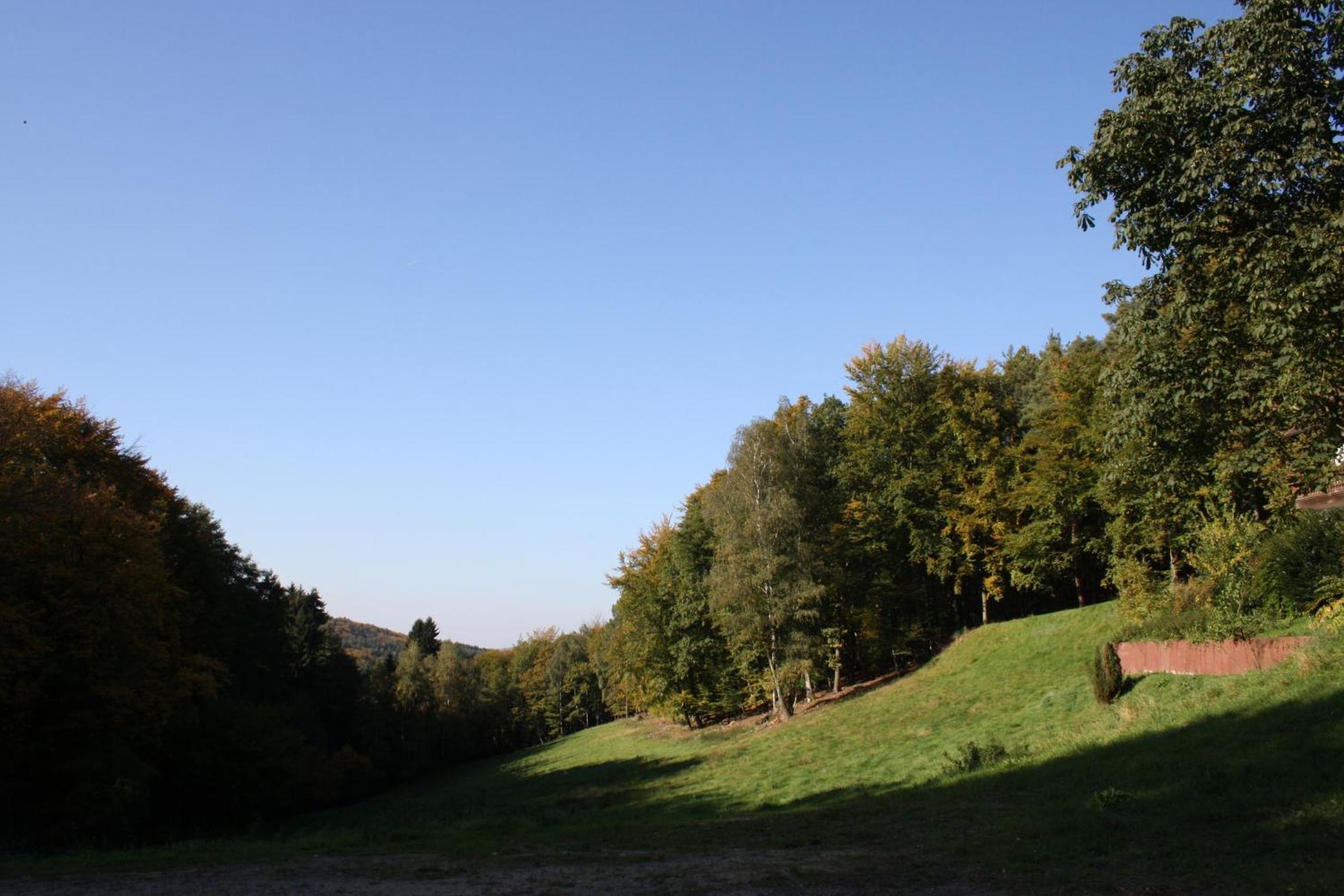 Wald-Hotel Heppe Dammbach Exterior foto