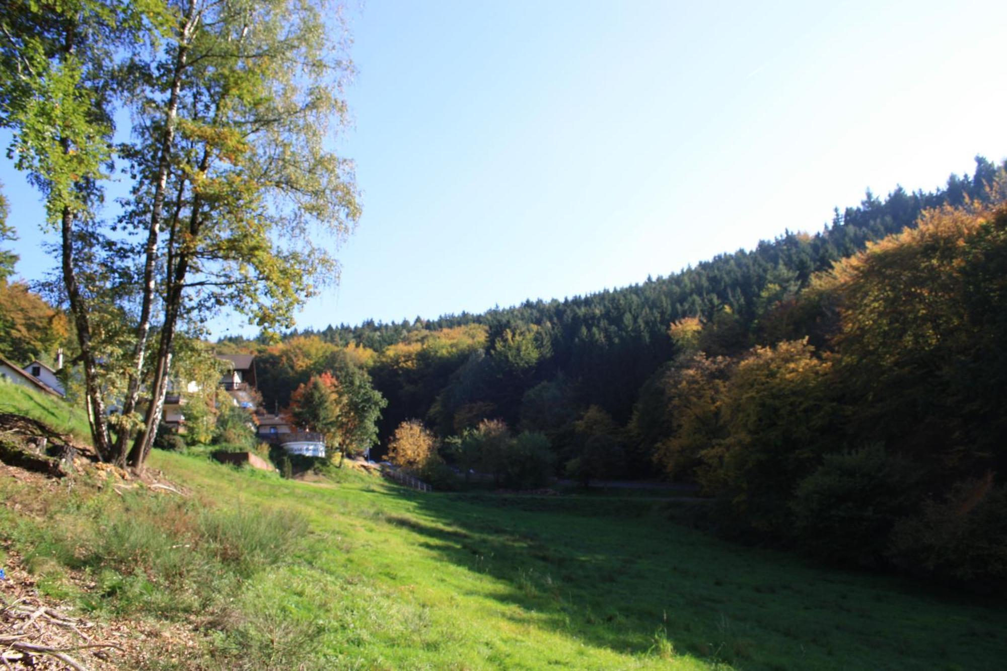 Wald-Hotel Heppe Dammbach Exterior foto