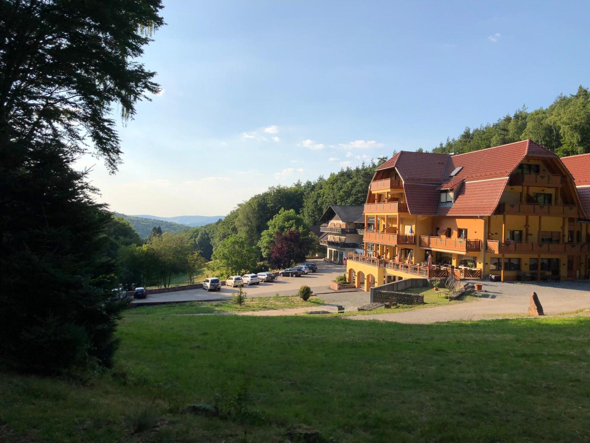 Wald-Hotel Heppe Dammbach Exterior foto
